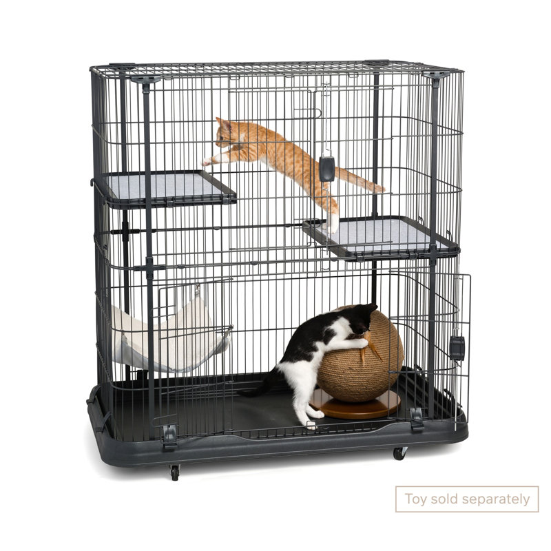 Archie & Oscar™ Elmo Cat Cage with Hammocks & Reviews Wayfair